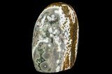 Polished, Free-Standing Ocean Jasper - Madagascar #80020-1